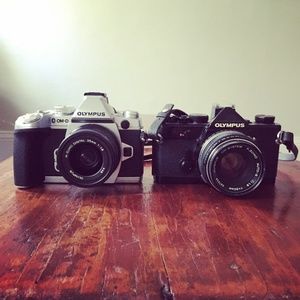 Meet your Posher, Lexi